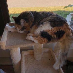 Meet your Posher, Doug